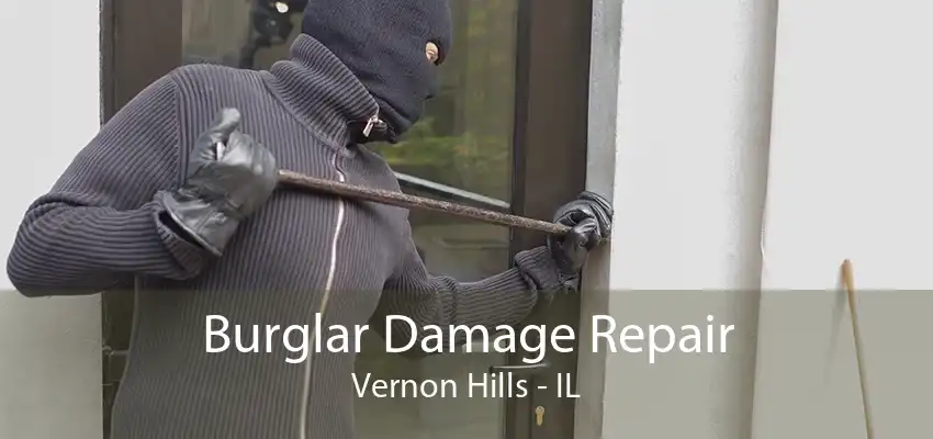 Burglar Damage Repair Vernon Hills - IL