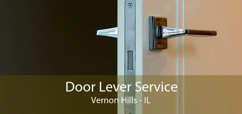 Door Lever Service Vernon Hills - IL