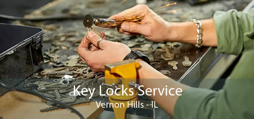 Key Locks Service Vernon Hills - IL