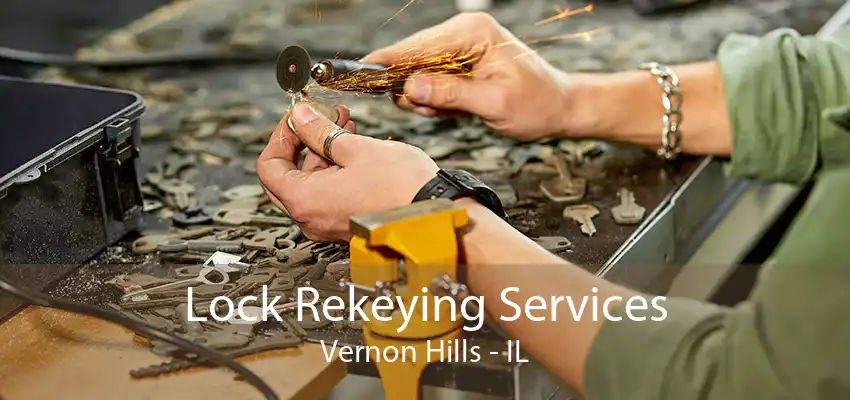 Lock Rekeying Services Vernon Hills - IL